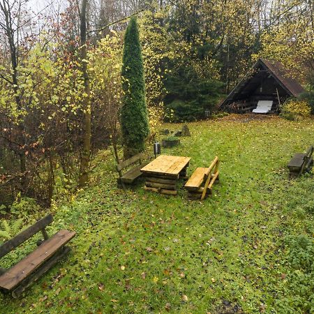 Truth Ruhe Oase, Naturblick, Smart Tv, Terrasse Brilon Εξωτερικό φωτογραφία
